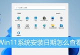 win11ϵyİb鿴