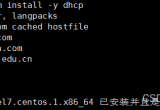 LinuxϵyȴDHCP