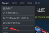 steamͥʹý̳